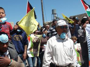 Peaceful protesters of Nabi Saleh walk to their natural spring.