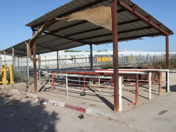 Between approximately 3am and 7am thousands of workers would be left standing for their turn to cross this workers checkpoint.